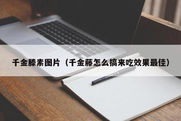 千金滕素图片（千金藤怎么搞来吃效果最佳）