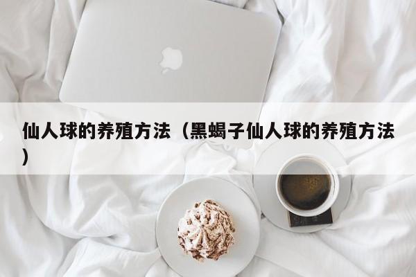 仙人球的养殖方法（黑蝎子仙人球的养殖方法）