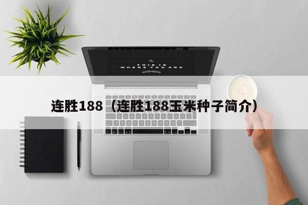 连胜188（连胜188玉米种子简介）