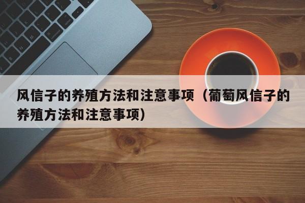 风信子的养殖方法和注意事项（葡萄风信子的养殖方法和注意事项）