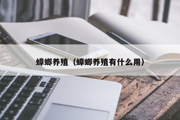 蟑螂养殖（蟑螂养殖有什么用）