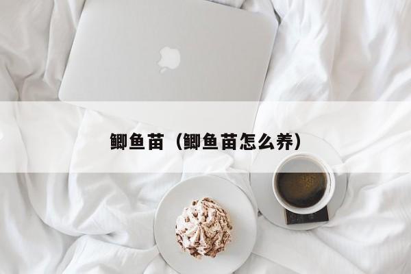 鲫鱼苗（鲫鱼苗怎么养）