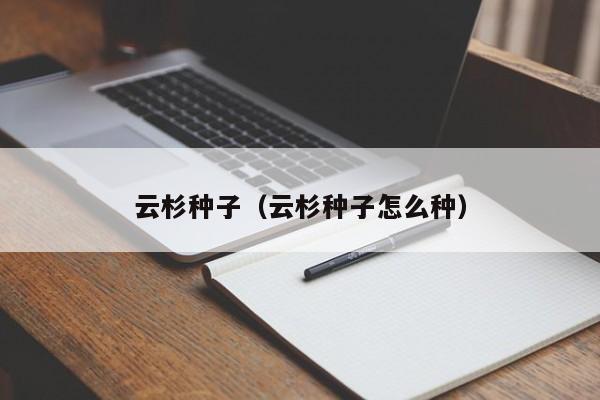 云杉种子（云杉种子怎么种）