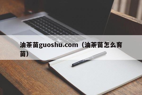 油茶苗guoshu.com（油茶苗怎么育苗）