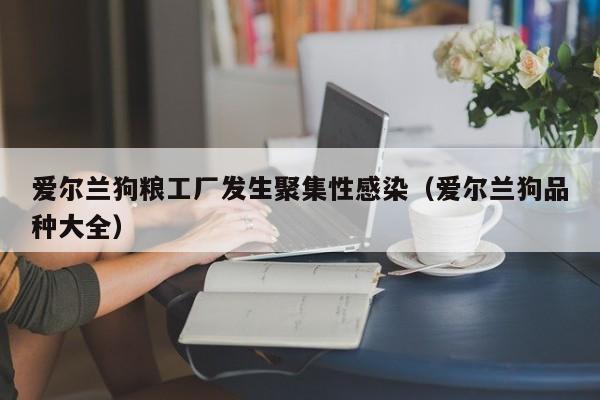 爱尔兰狗粮工厂发生聚集性感染（爱尔兰狗品种大全）