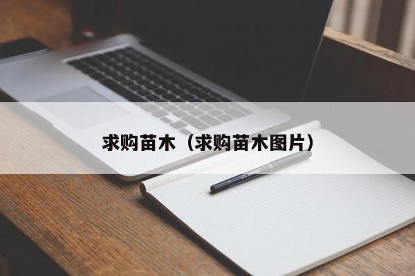 求购苗木（求购苗木图片）