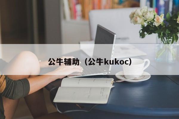 公牛辅助（公牛kukoc）