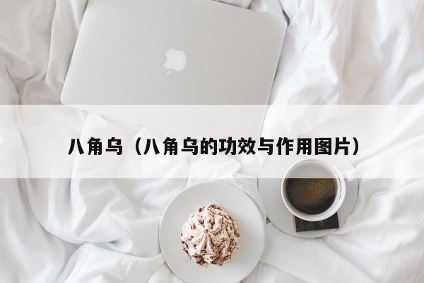 八角乌（八角乌的功效与作用图片）