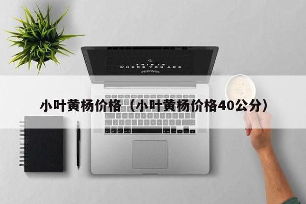 小叶黄杨价格（小叶黄杨价格40公分）