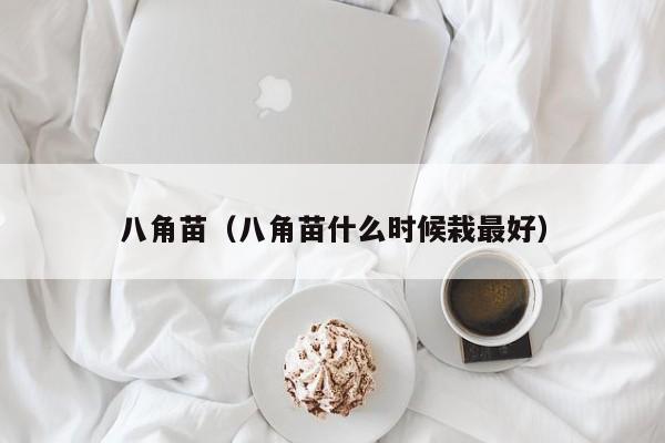 八角苗（八角苗什么时候栽最好）