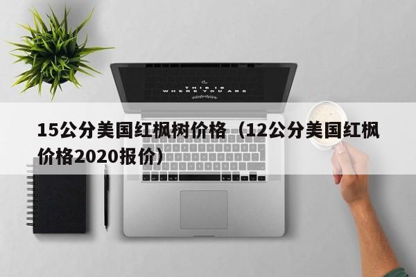 15公分美国红枫树价格（12公分美国红枫价格2020报价）