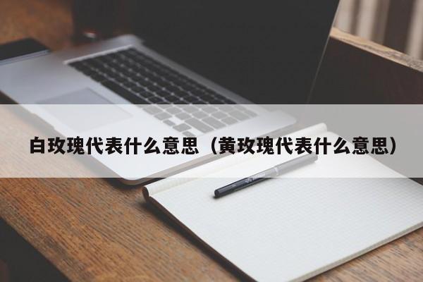 白玫瑰代表什么意思（黄玫瑰代表什么意思）