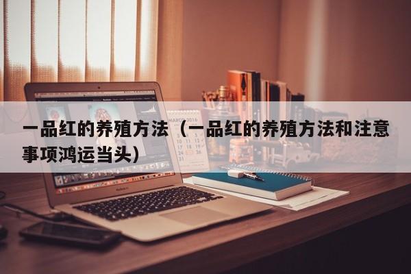 一品红的养殖方法（一品红的养殖方法和注意事项鸿运当头）