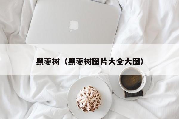 黑枣树（黑枣树图片大全大图）