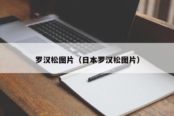 罗汉松图片（日本罗汉松图片）