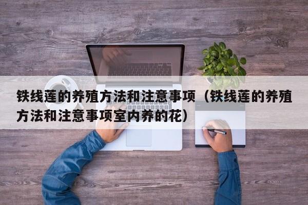 铁线莲的养殖方法和注意事项（铁线莲的养殖方法和注意事项室内养的花）