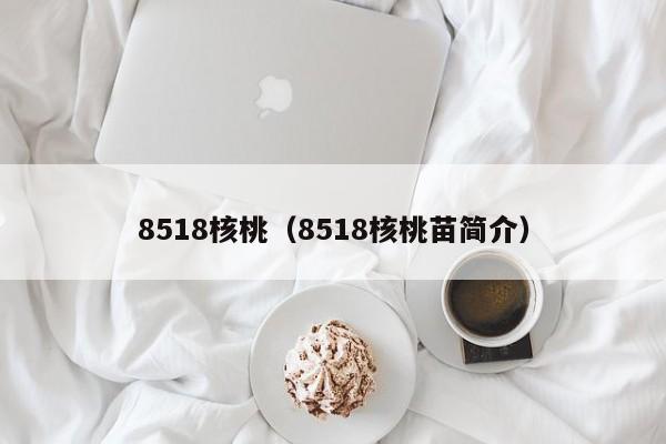 8518核桃（8518核桃苗简介）