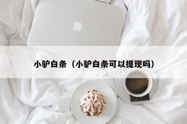 小驴白条（小驴白条可以提现吗）