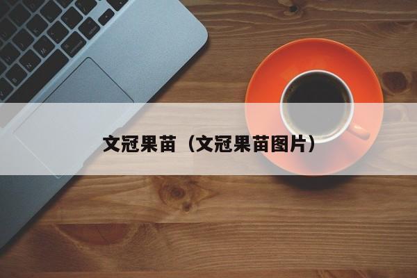 文冠果苗（文冠果苗图片）