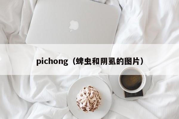 pichong（蜱虫和阴虱的图片）