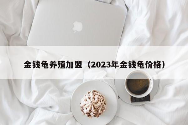 金钱龟养殖加盟（2023年金钱龟价格）