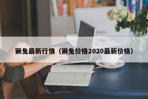 獭兔最新行情（獭兔价格2020最新价格）