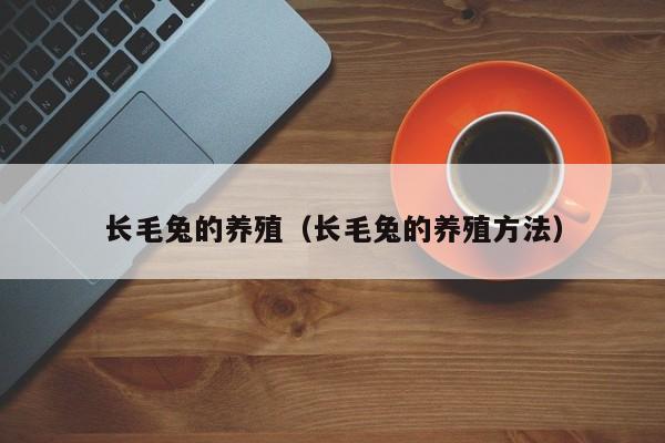 长毛兔的养殖（长毛兔的养殖方法）