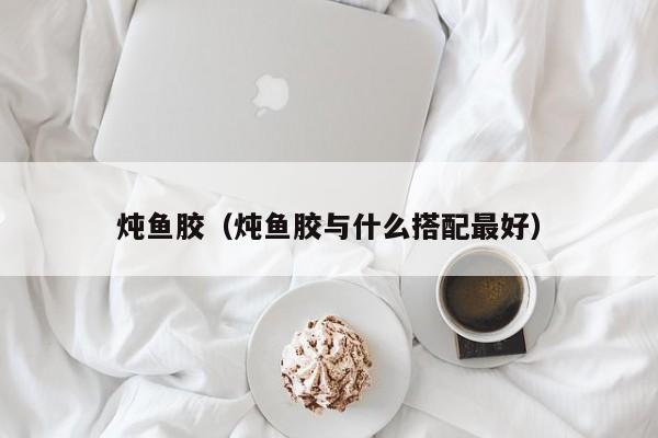 炖鱼胶（炖鱼胶与什么搭配最好）