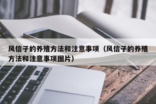 风信子的养殖方法和注意事项（风信子的养殖方法和注意事项图片）