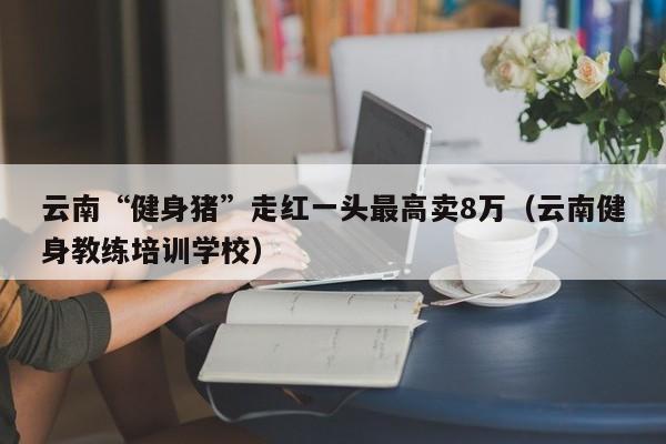 云南“健身猪”走红一头最高卖8万（云南健身教练培训学校）