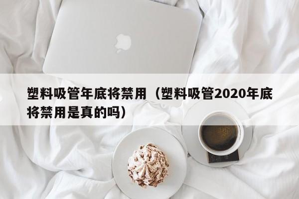 塑料吸管年底将禁用（塑料吸管2020年底将禁用是真的吗）