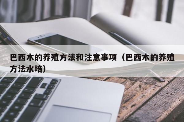 巴西木的养殖方法和注意事项（巴西木的养殖方法水培）