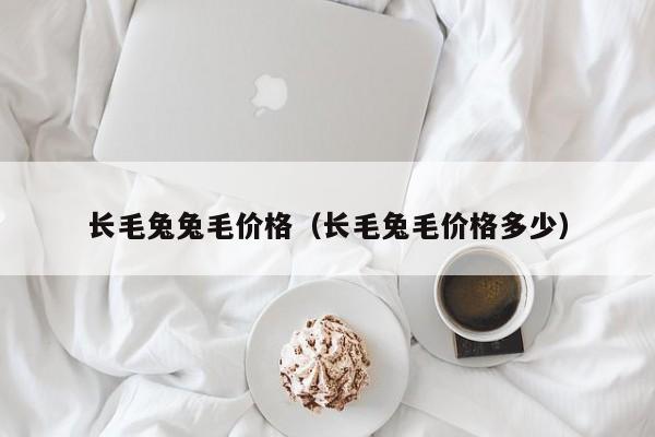 长毛兔兔毛价格（长毛兔毛价格多少）