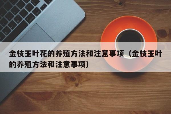 金枝玉叶花的养殖方法和注意事项（金枝玉叶的养殖方法和注意事项）