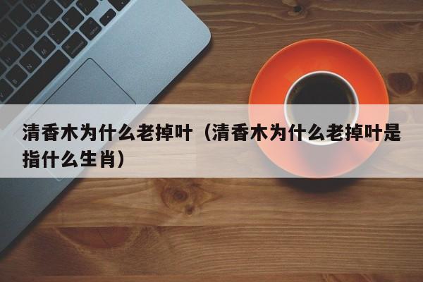 清香木为什么老掉叶（清香木为什么老掉叶是指什么生肖）