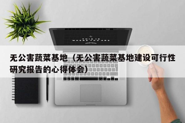 无公害蔬菜基地（无公害蔬菜基地建设可行性研究报告的心得体会）