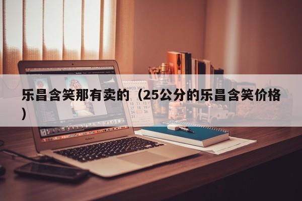 乐昌含笑那有卖的（25公分的乐昌含笑价格）