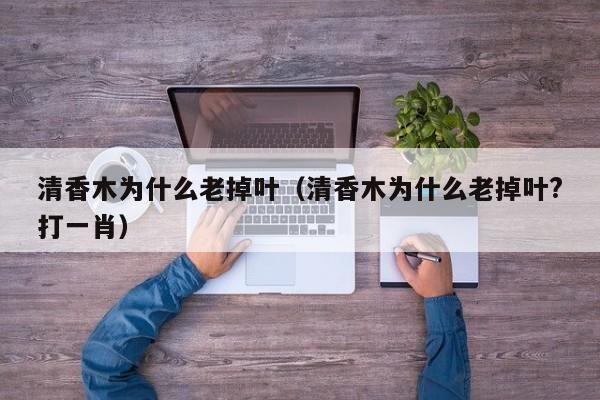 清香木为什么老掉叶（清香木为什么老掉叶?打一肖）