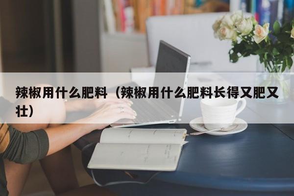 辣椒用什么肥料（辣椒用什么肥料长得又肥又壮）