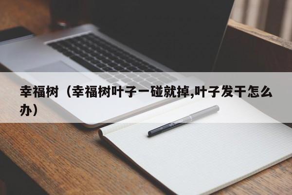 幸福树（幸福树叶子一碰就掉,叶子发干怎么办）