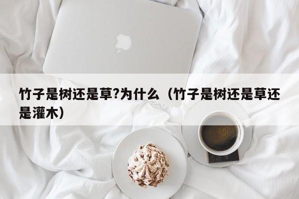 竹子是树还是草?为什么（竹子是树还是草还是灌木）