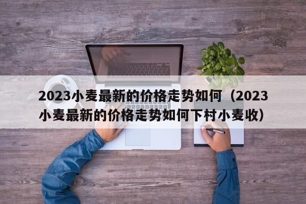 2023小麦最新的价格走势如何（2023小麦最新的价格走势如何下村小麦收）