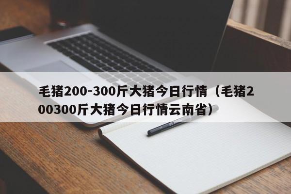 毛猪200-300斤大猪今日行情（毛猪200300斤大猪今日行情云南省）