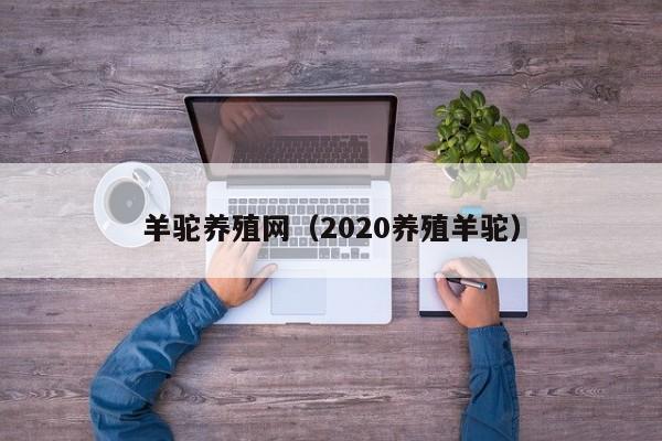 羊驼养殖网（2020养殖羊驼）