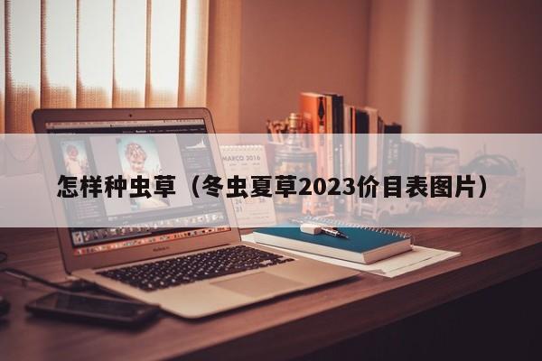 怎样种虫草（冬虫夏草2023价目表图片）