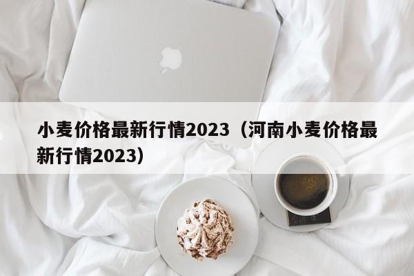 小麦价格最新行情2023（河南小麦价格最新行情2023）