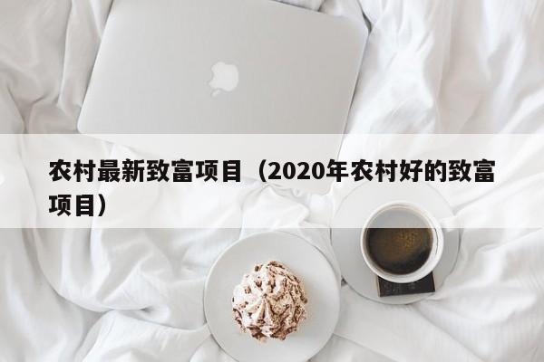 农村最新致富项目（2020年农村好的致富项目）