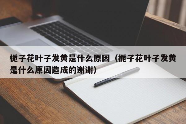 栀子花叶子发黄是什么原因（栀子花叶子发黄是什么原因造成的谢谢）