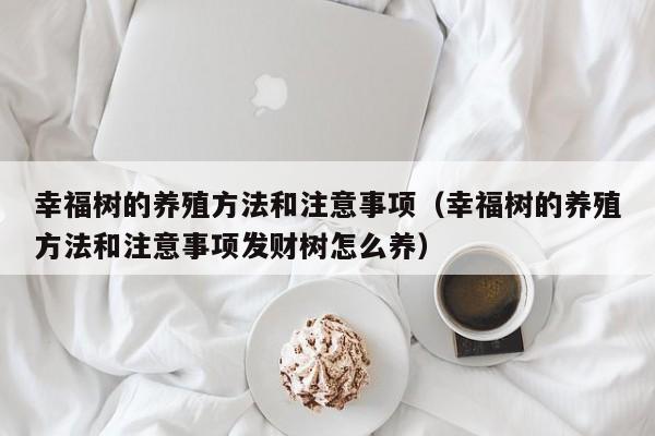 幸福树的养殖方法和注意事项（幸福树的养殖方法和注意事项发财树怎么养）