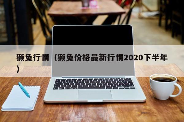 獭兔行情（獭兔价格最新行情2020下半年）